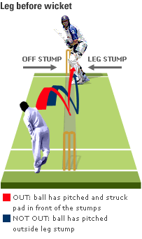 Cricket Definition History Equipment Dimensions Rules